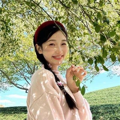 荒野迷案第二季